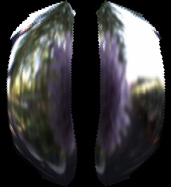 Illustration for article titled Artificial Bee Eye Could Improve Robotic Vision